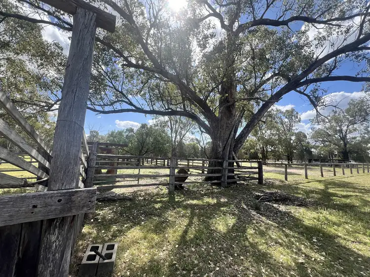 Third view of Homely rural property listing, 4185 Moonie Highway, Ducklo QLD 4405