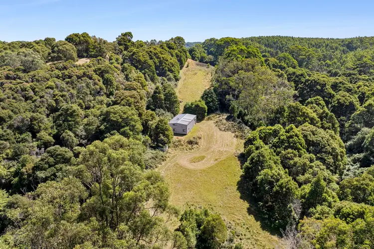 Second view of Homely rural property listing, 165 Hendrickson Track, Yuulong VIC 3237