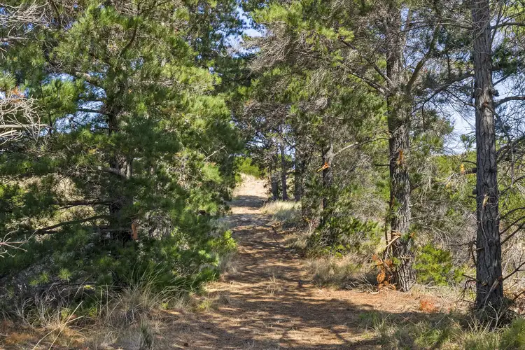 Fourth view of Homely land listing, 840 Dolphin Sands Road, Dolphin Sands TAS 7190