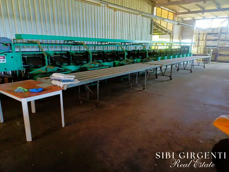 Sixth view of Homely rural property listing, 251 McBean Road, Arriga QLD 4880