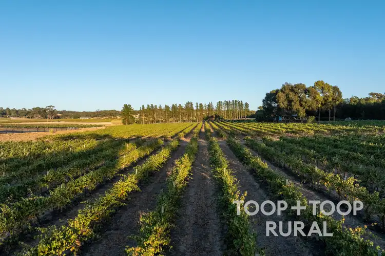 233 Pine Drive, Nuriootpa SA 5355