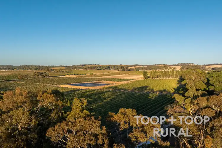 Third view of Homely rural property listing, 233 Pine Drive, Nuriootpa SA 5355