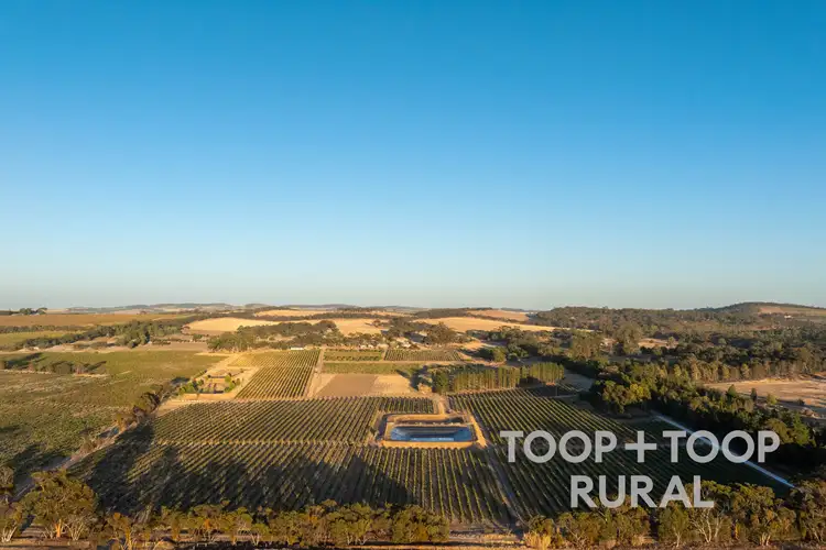 Fourth view of Homely rural property listing, 233 Pine Drive, Nuriootpa SA 5355
