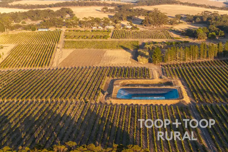 Fifth view of Homely rural property listing, 233 Pine Drive, Nuriootpa SA 5355