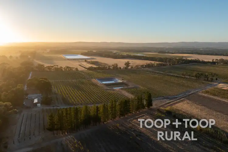 Seventh view of Homely rural property listing, 233 Pine Drive, Nuriootpa SA 5355