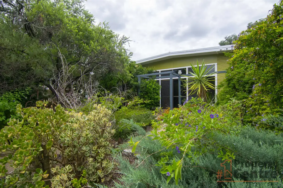 Main view of Homely house listing, 175 Cunningham Street, Dalby QLD 4405