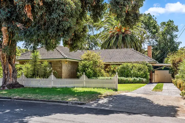1 Willow Drive, Paradise SA 5075
