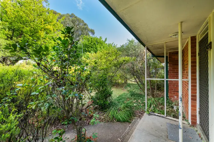 Second view of Homely house listing, 237 Antill Street, Watson ACT 2602