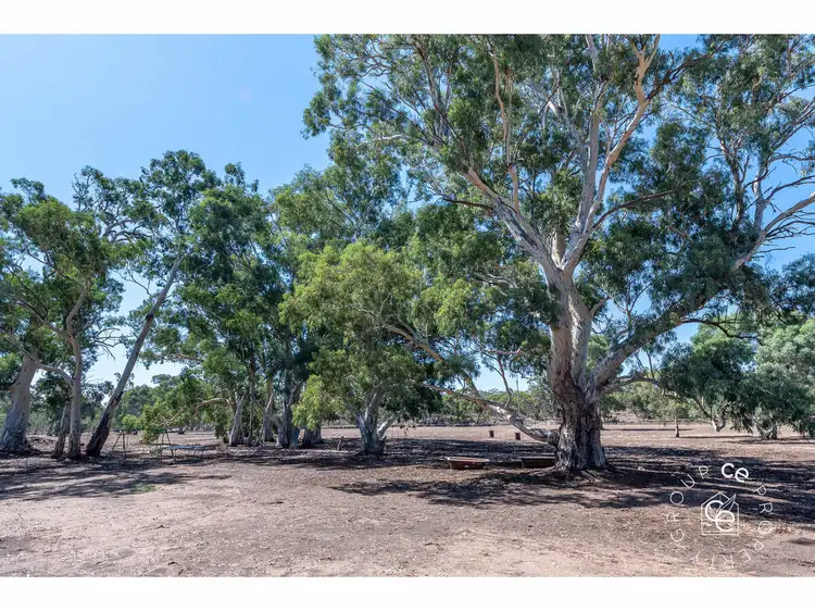Second view of Homely rural property listing, 1261 Black Hill Road, Cambrai SA 5353