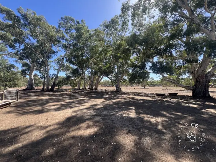 Third view of Homely rural property listing, 1261 Black Hill Road, Cambrai SA 5353