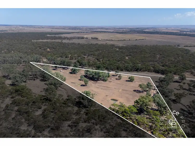 Fourth view of Homely rural property listing, 1261 Black Hill Road, Cambrai SA 5353