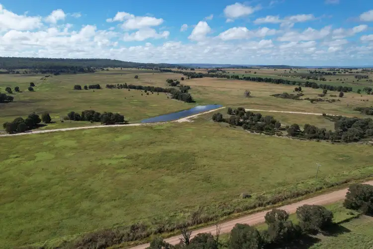 Sixth view of Homely rural property listing, 899 Weir Road, Monto QLD 4630