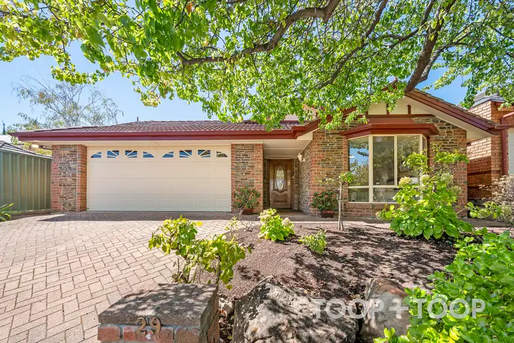 29 Angove Park Drive