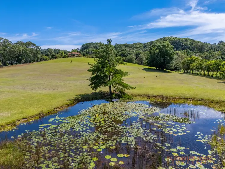 Second view of Homely house listing, 258 Bli Bli Road, Bli Bli QLD 4560
