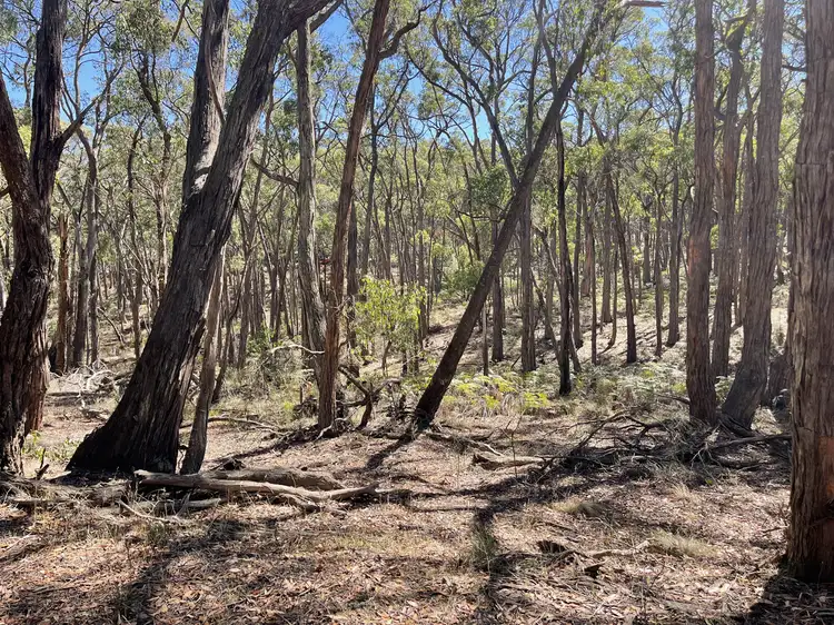 Seventh view of Homely land listing, LOT 3 Pittong-Snake Valley Road, Snake Valley VIC 3351
