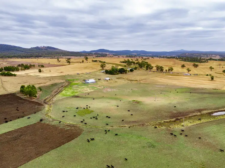 Main view of Homely rural property listing, 196 Court Farm Road, Buckland TAS 7190