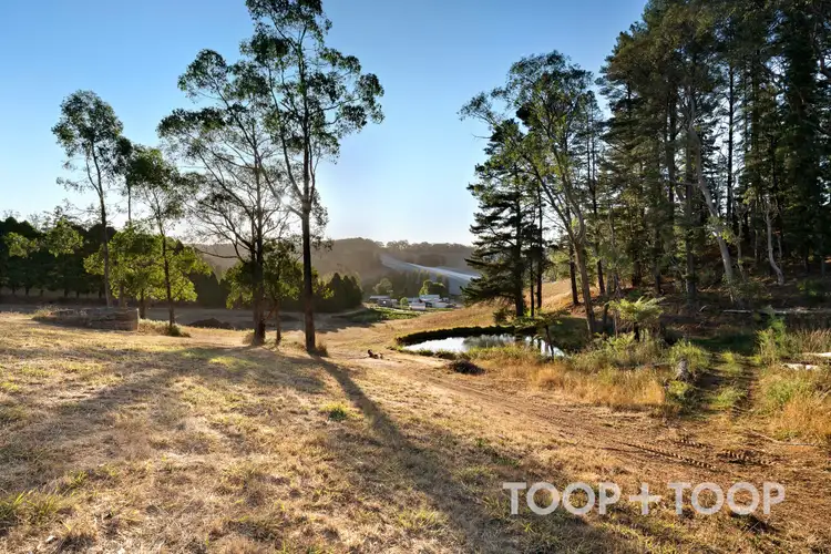 Fifth view of Homely rural property listing, 1 Stentiford Road, Forest Range SA 5139