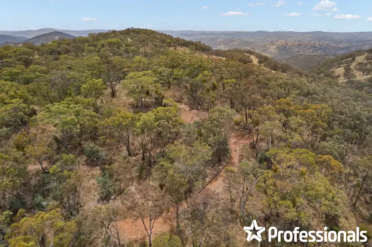 Fourth view of Homely rural property listing, 4120 Sofala Road, Wattle Flat NSW 2795