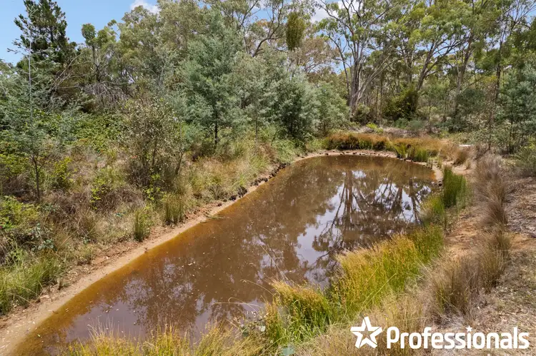 Fifth view of Homely rural property listing, 4120 Sofala Road, Wattle Flat NSW 2795