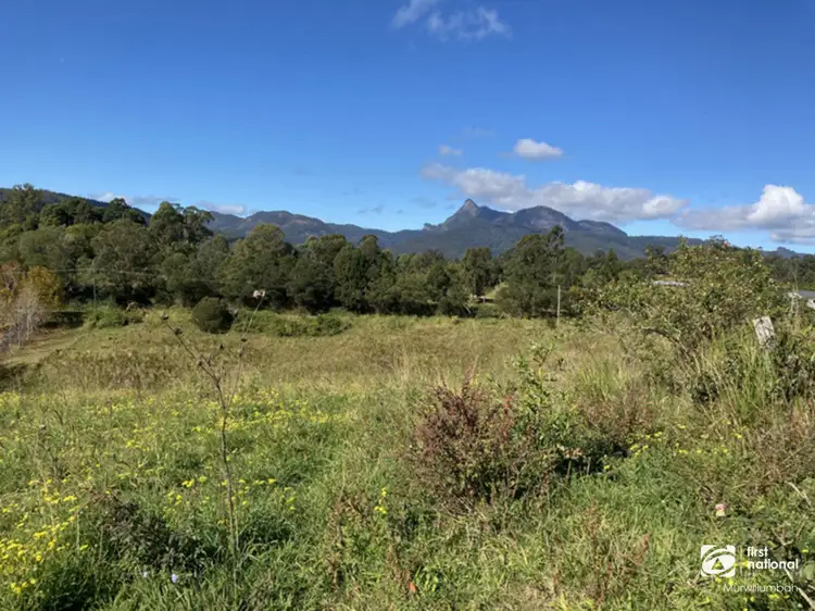 Lot 2 Limpinwood Road, Limpinwood NSW 2484