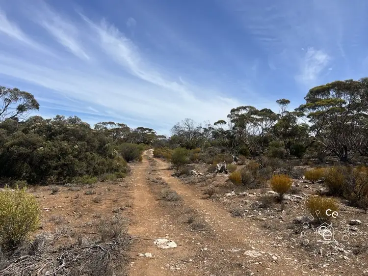 Second view of Homely rural property listing, Lot 8 Broncos Road, Sedan SA 5353