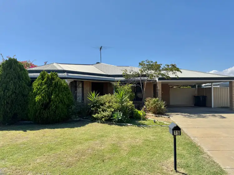 75 Templetonia Promenade, Halls Head WA 6210