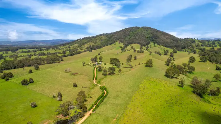 613 Comboyne Road, Cedar Party NSW 2429