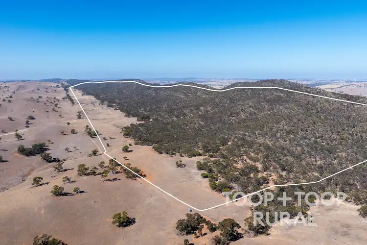 1705 Ngapala Road, Ngapala SA 5374