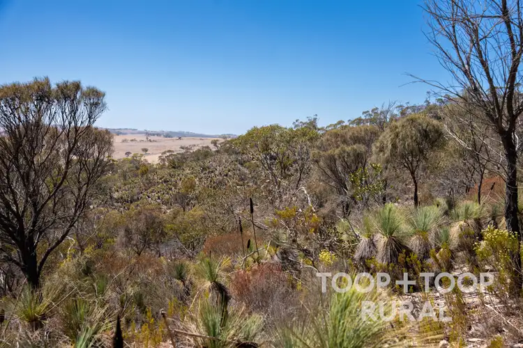 Fourth view of Homely rural property listing, 1705 Ngapala Road, Ngapala SA 5374