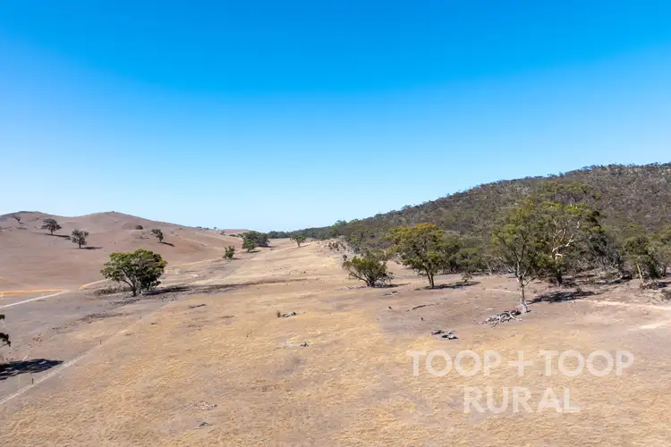 Sixth view of Homely rural property listing, 1705 Ngapala Road, Ngapala SA 5374