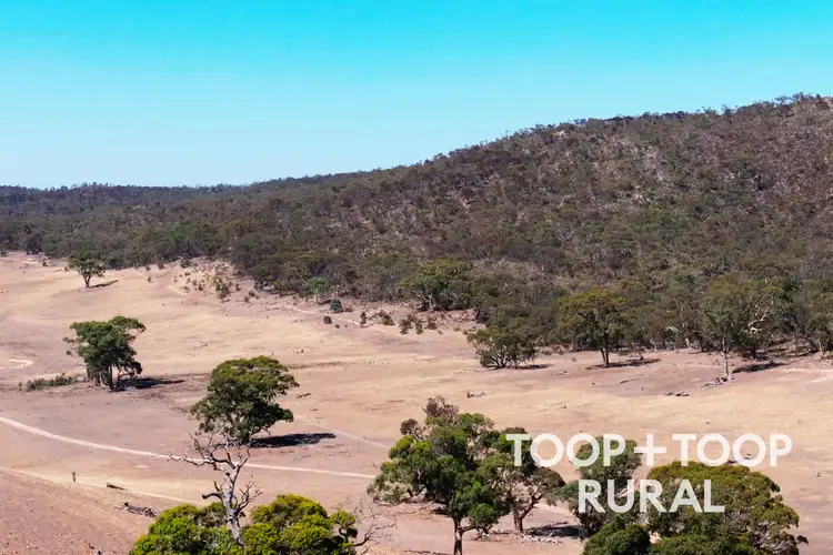Seventh view of Homely rural property listing, 1705 Ngapala Road, Ngapala SA 5374