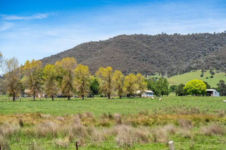 Sixth view of Homely rural property listing, 4320 Kiewa Valley Highway, Dederang VIC 3691
