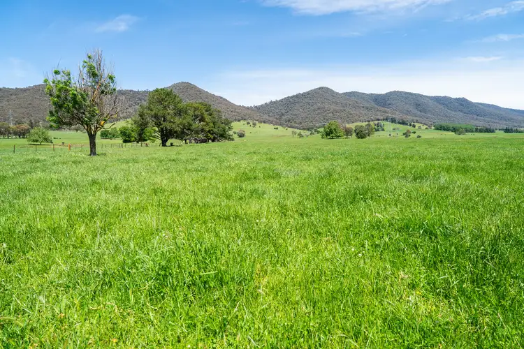 Seventh view of Homely rural property listing, 4320 Kiewa Valley Highway, Dederang VIC 3691