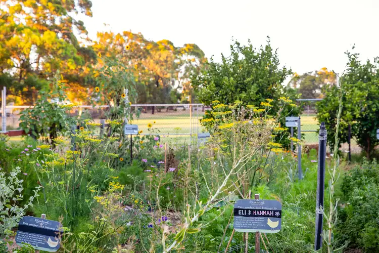 Third view of Homely house listing, 17a Harwood Street, Hilton WA 6163
