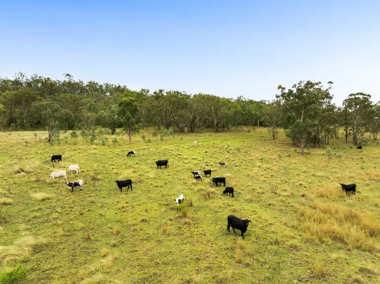 Second view of Homely rural property listing, 722 Mount Kent Boundary Road, Nobby QLD 4360