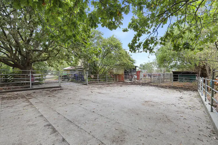 Sixth view of Homely rural property listing, 197 Yarragon-Shady Creek Road, Yarragon VIC 3823