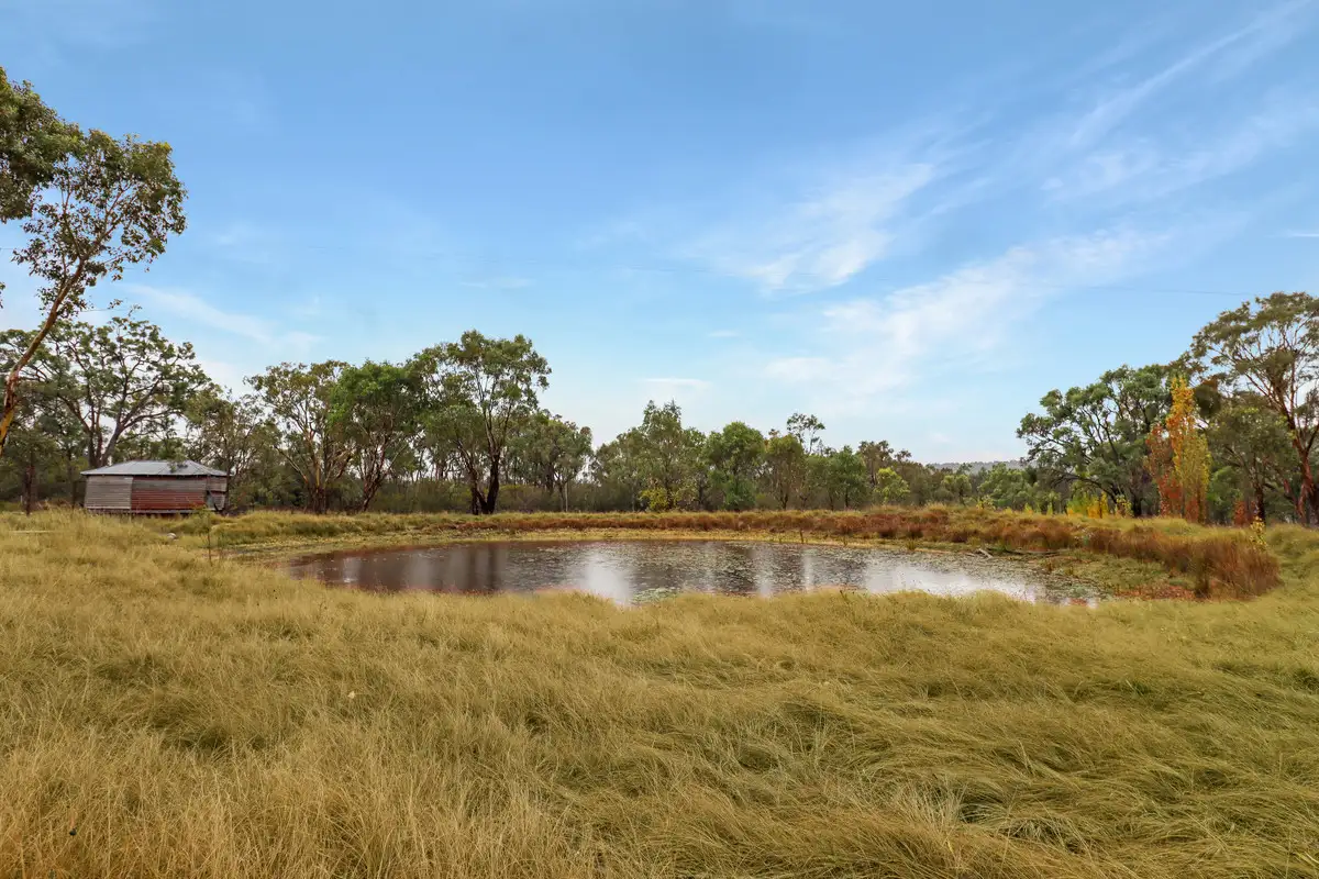 Main view of Homely rural property listing, 151 Curtin Road, Ballandean QLD 4382