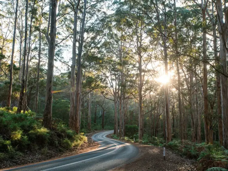 Seventh view of Homely rural property listing, LOT 1396 Cresswell Road, Deepdene WA 6290