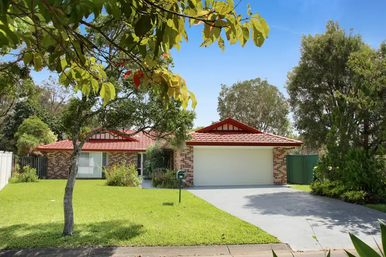 12 Baumea Court, Elanora QLD 4221