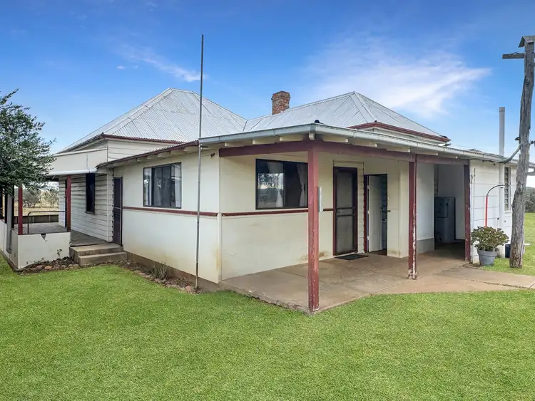 "Available Now" In, Kelvin NSW 2380