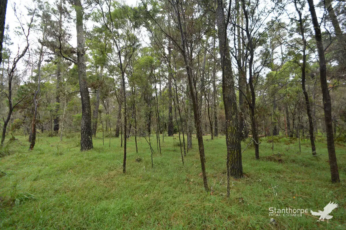 Main view of Homely land listing, LOT 154 Blackbutt Road, Sugarloaf QLD 4380