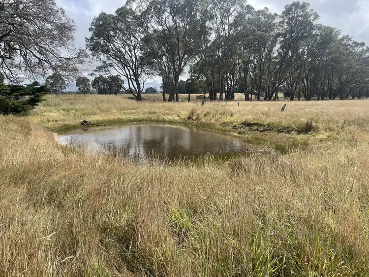 Seventh view of Homely rural property listing, 94 Mokanger Road, Cavendish VIC 3314