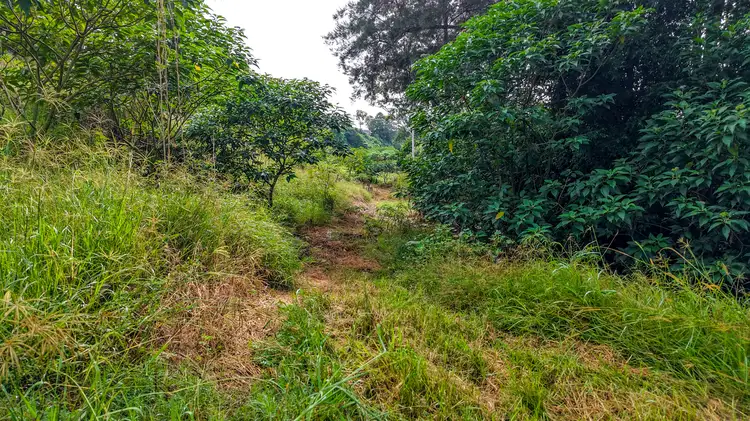 Fifth view of Homely land listing, Lobban Road, Wingham NSW 2429