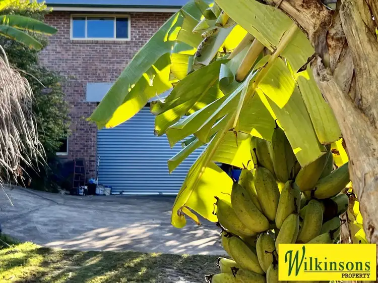 Main view of Homely rural property listing, 980 Singleton Road, Laughtondale NSW 2775