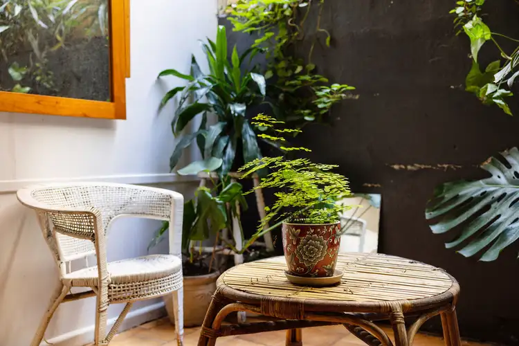 Third view of Homely apartment listing, 3/2 Clapton Place, Darlinghurst NSW 2010