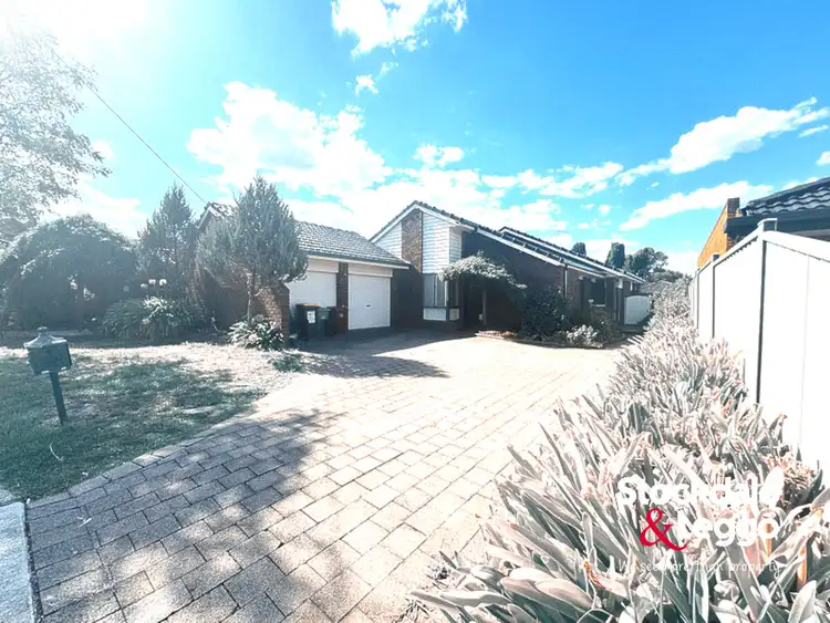 Second view of Homely house listing, 19 Langton Way, Greenvale VIC 3059