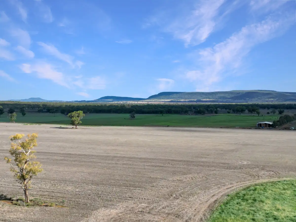 Main view of Homely rural property listing, 8354 Kamilaroi Highway, Curlewis NSW 2381