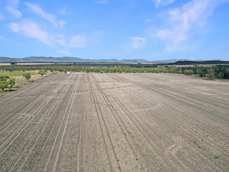 Second view of Homely rural property listing, 8354 Kamilaroi Highway, Curlewis NSW 2381