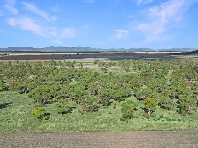 Third view of Homely rural property listing, 8354 Kamilaroi Highway, Curlewis NSW 2381