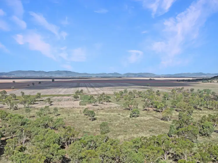 Fifth view of Homely rural property listing, 8354 Kamilaroi Highway, Curlewis NSW 2381